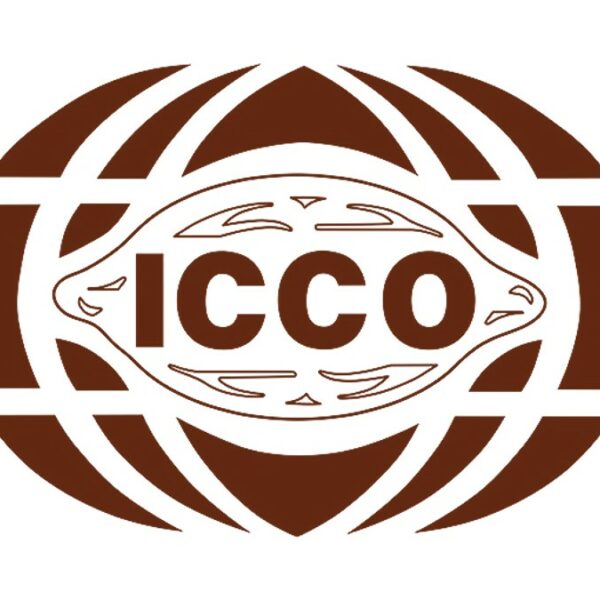 Icco publie de nouvelles statistiques sur le cacao pour novembre 2022