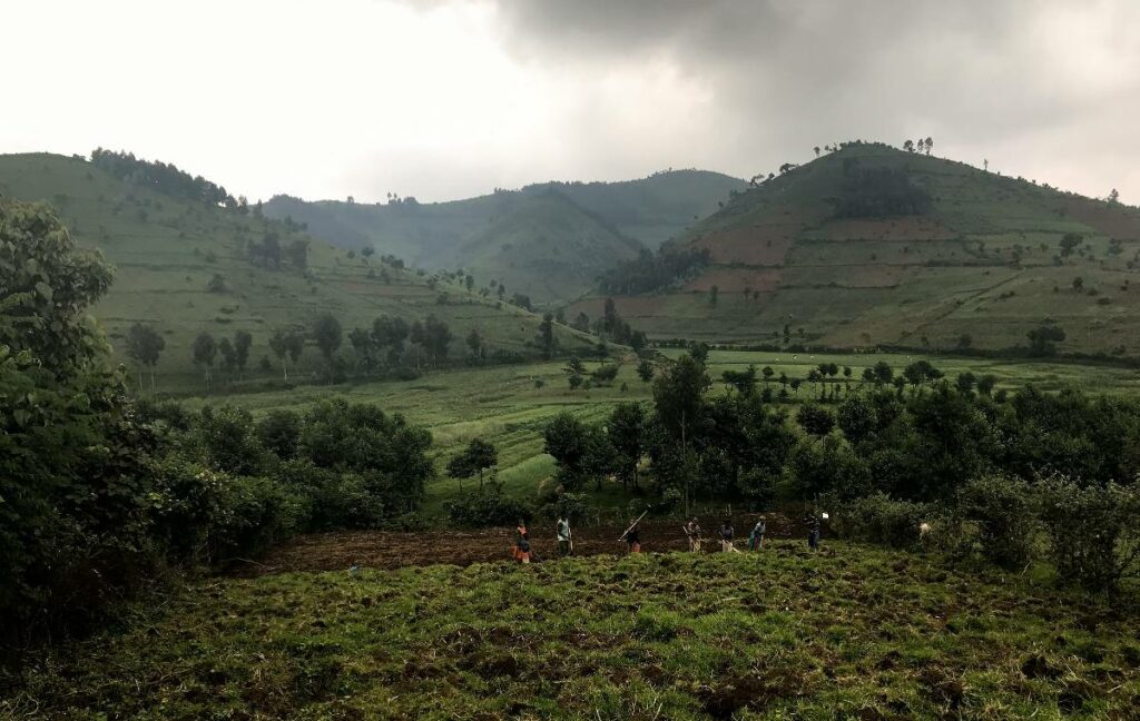 Rwanda Déforestation PNUE