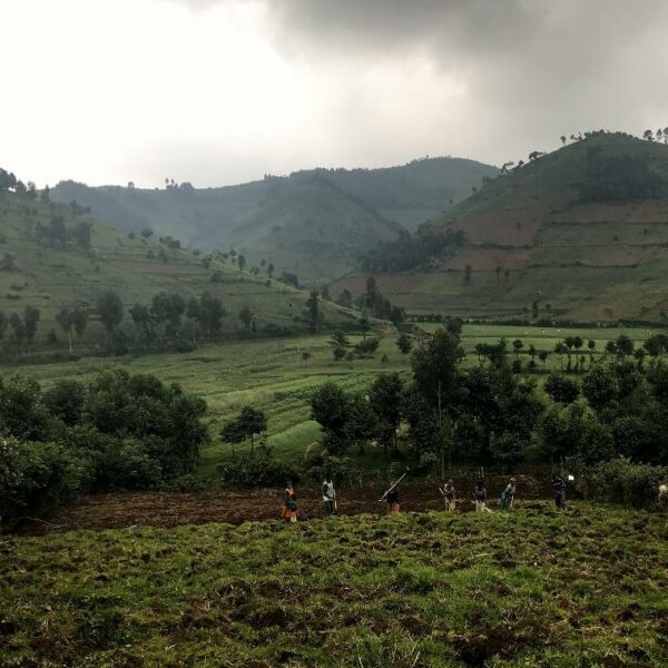 Ruanda Deforestación PNUMA