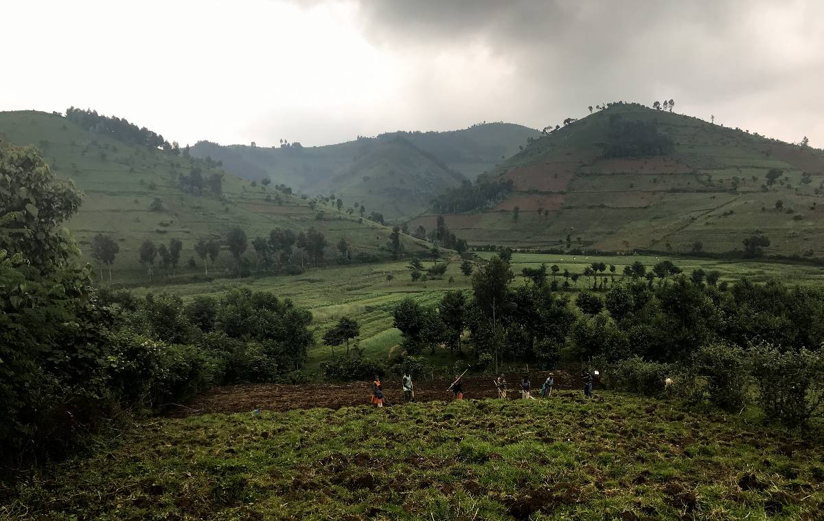 Mexico And Rwanda Take The Lead In Transforming Their Coffee Data
