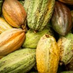WHY IS IT PROBLEMATIC FOR KOA TO PAY COCOA FARMERS THROUGH MOBILE MONEY?