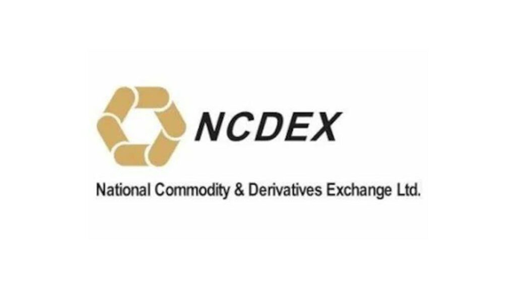 Ncdex Logo