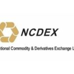 NCDEX logo