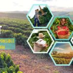 SUCAFINA LAUNCHES 'IMPACT' SUSTAINABLE SOURCING FOR THE WHOLE VALUE CHAIN