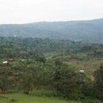 TECHNOSERVE TO HELP 60,000 COFFEE FARMING FAMILIES INCREASE INCOME IN BURUNDI