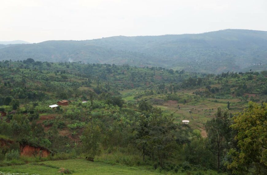 Technoserve To Help 60,000 Coffee Farming Families Increase Income In Burundi